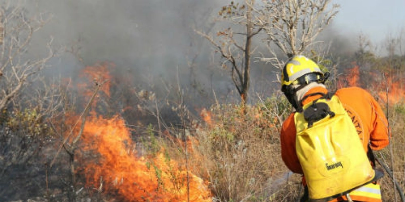 Distrito Federal decreta estado de emergência ambiental