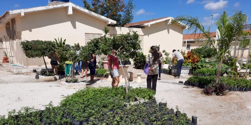 Governo e Prefeitura de Prata distribuem mudas frutíferas e raquetes de palma