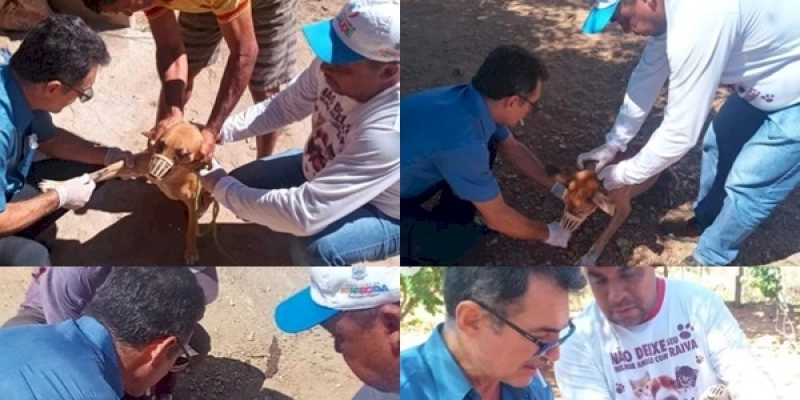 Secretaria de Saúde de Aparecida realiza ações de controle da Leishmaniose Visceral Canina, na comunidade de Angélica 