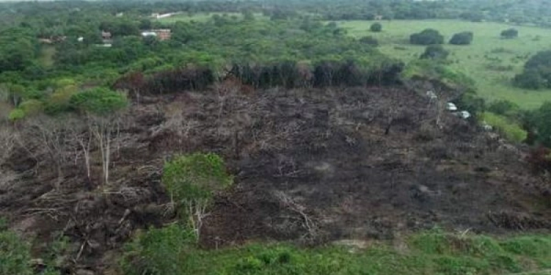 MPPB ajuíza ação e requer que acusados de desmatar Mata Atlântica na Mata do Xem-Xém sejam condenados a reparar dano ambiental