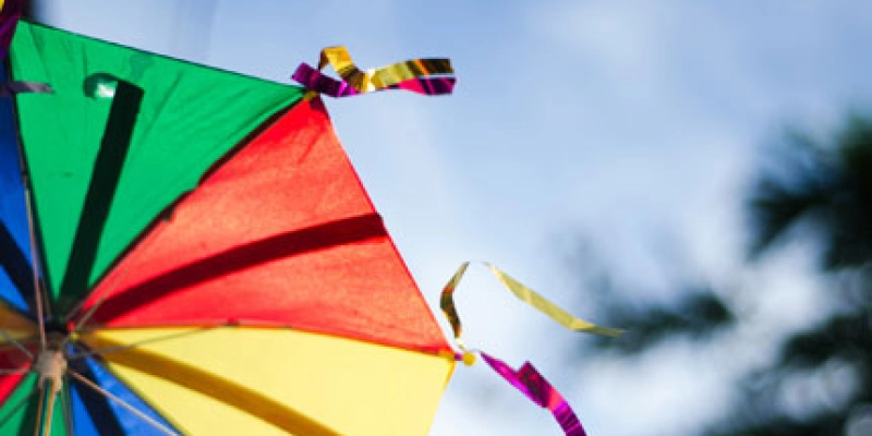  CARNAVAL SUSTENTÁVEL - Descarte incorreto de adereços e brilhos pode poluir mananciais e prejudicar saneamento