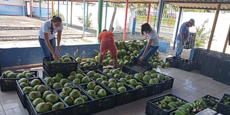 Governo da Paraíba distribui 970 toneladas de alimentos da agricultura familiar em 100 municípios