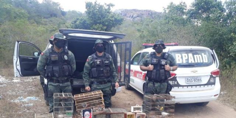 Polícia apreende armas de fogo usadas em caça e devolve mais de 70 animais para a natureza 