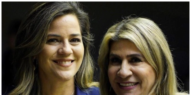 Edna Henrique recomenda que parte dos R$ 4 bilhões do SUS para combater a Covid-19 seja destinada ao tratamento dos grupos de risco