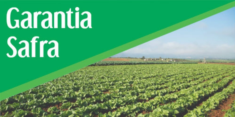 Agricultores aguardam divulgação do seguro safra 2018 em Sousa 