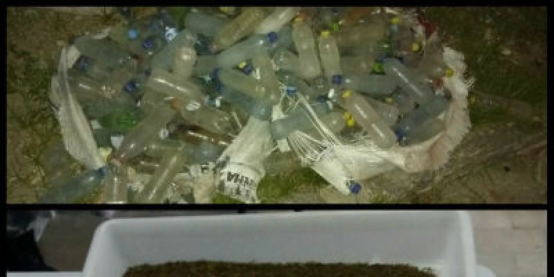 Polícia Militar apreende entorpecentes em terreno baldio nesta quinta