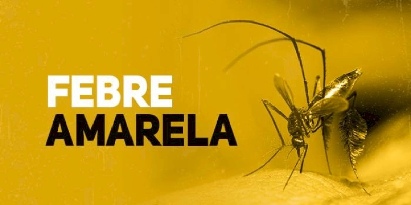 Vacinação contra febre amarela caiu durante a pandemia