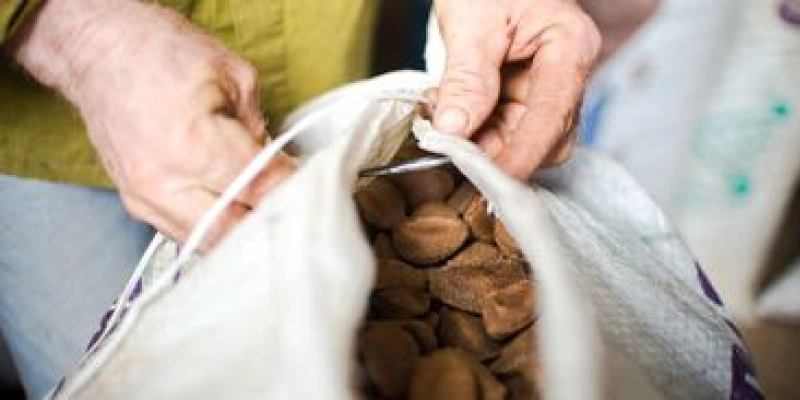 Ministério da Agricultura anuncia medidas de estímulo a cooperativas