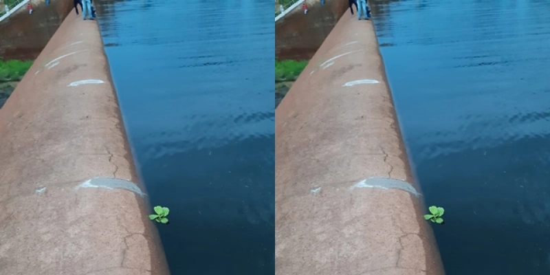 Açude de São Gonçalo atinge o “escama peixe”, e deve sangrar durante a madrugada em Sousa