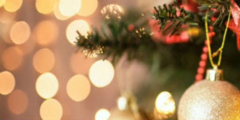 Natal deve movimentar R$ 53,5 bi na economia, projetam CNDL/SPC Brasil
