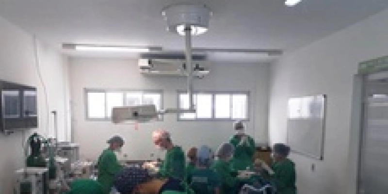 IFPB faz 50 cirurgias gratuitas de castração de cães e gatos em Sousa