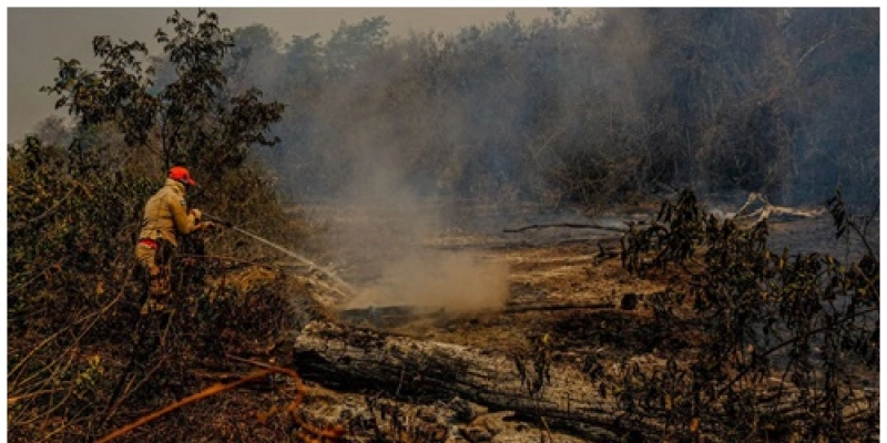Governo libera R$ 10,1 milhões para combate a incêndio no Pantanal