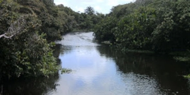 Rio Gramame: usinas recebem recomendação para preservar nascentes e olhos dágua na bacia que abastece capital da Paraíba