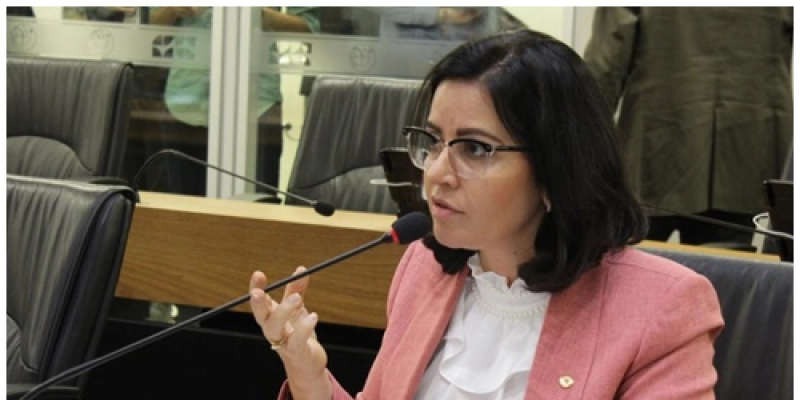Pollyanna Dutra solicita reforço policial nas proximidades de estabelecimentos essenciais