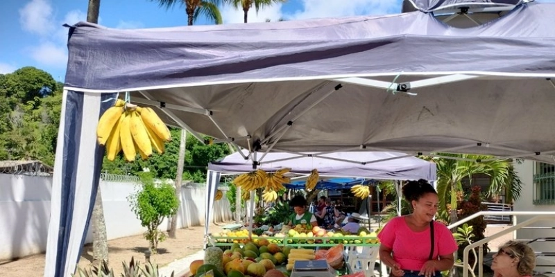 Feira dos Aromas funciona normalmente nesta sexta-feira