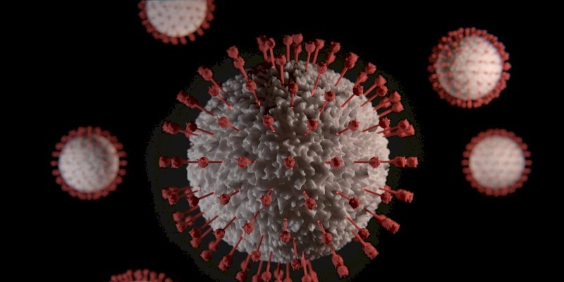 Paraíba avança com pesquisa epidemiológica nas escolas e incidência da covid-19 mostra-se baixa nas instituições de ensino