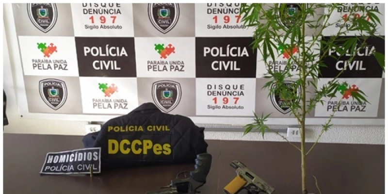 Armas de fogo e pé de maconha são apreendidos em ações da Polícia Civil na Paraíba 