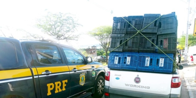 PRF prende foragido por homicídio, tira uma arma de circulação e recupera dois carros roubados, na PB