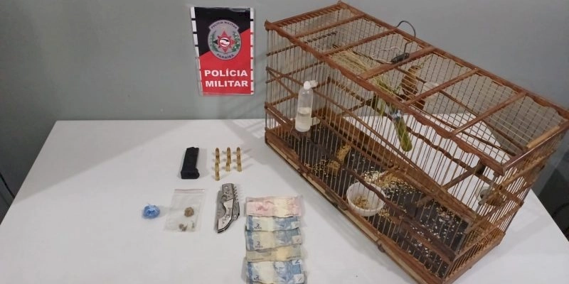 PM apreende munições e ave silvestre com suspeito de homicídio