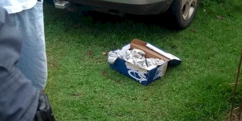 CHOCANTE – Recém-nascida é achada dentro de caixa de sapato no interior da Paraíba 
