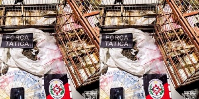 Polícia estoura ponto de vendas de entorpecentes, prende responsável e apreende aves silvestres 