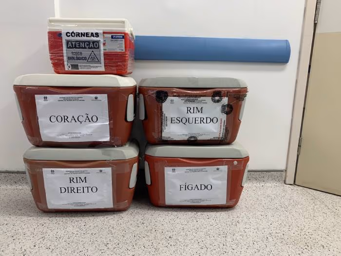 orgaos2.jpg