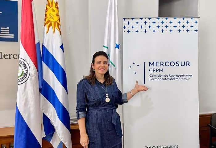 pollyanna_mercosul3.jpg