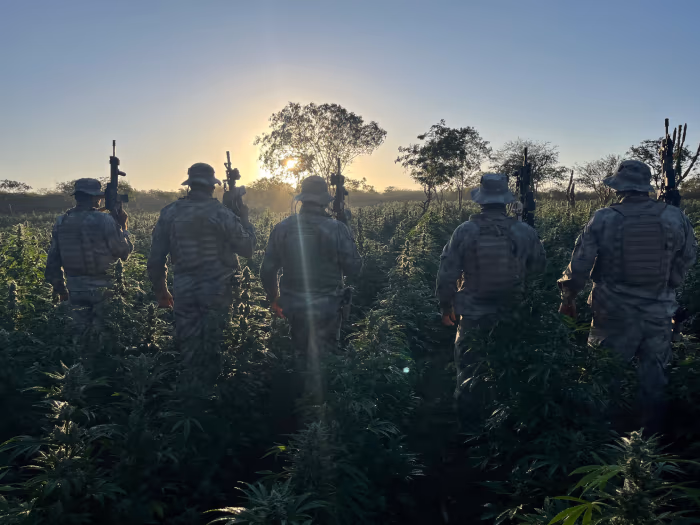 narcotrafico2.jpg