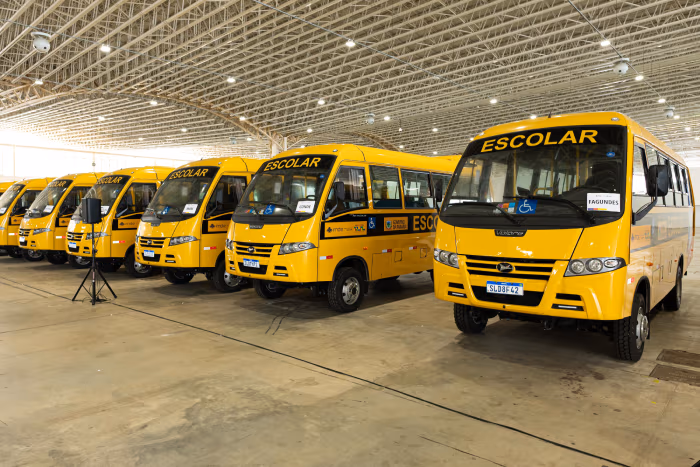 wf_onibus3.jpg