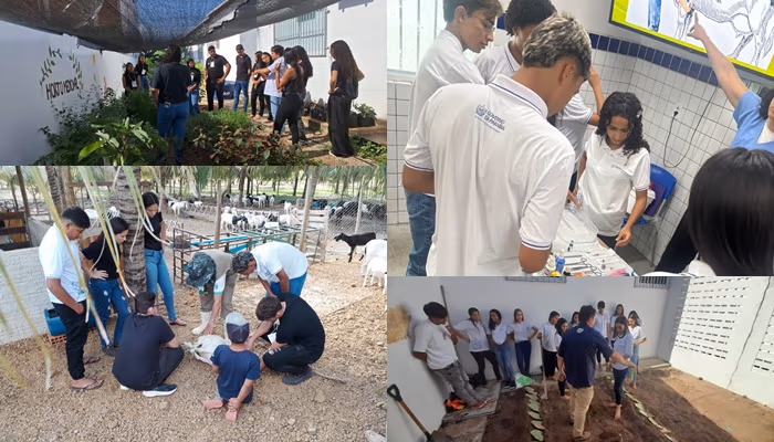 Minicursos-ENAGRO.jpg
