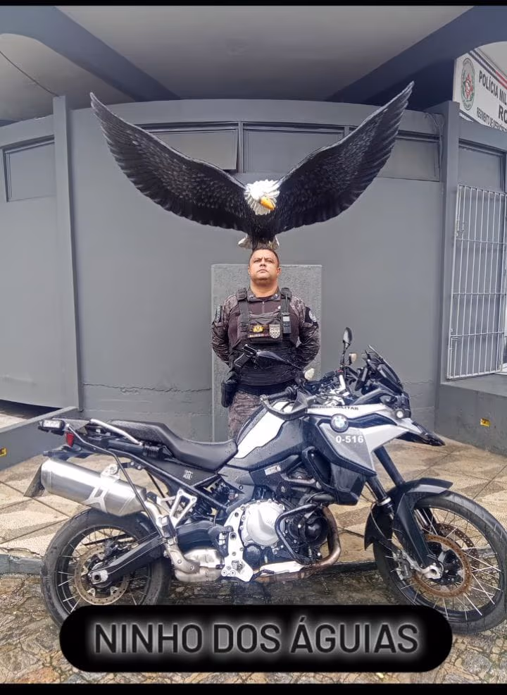 medeiros1.jpg
