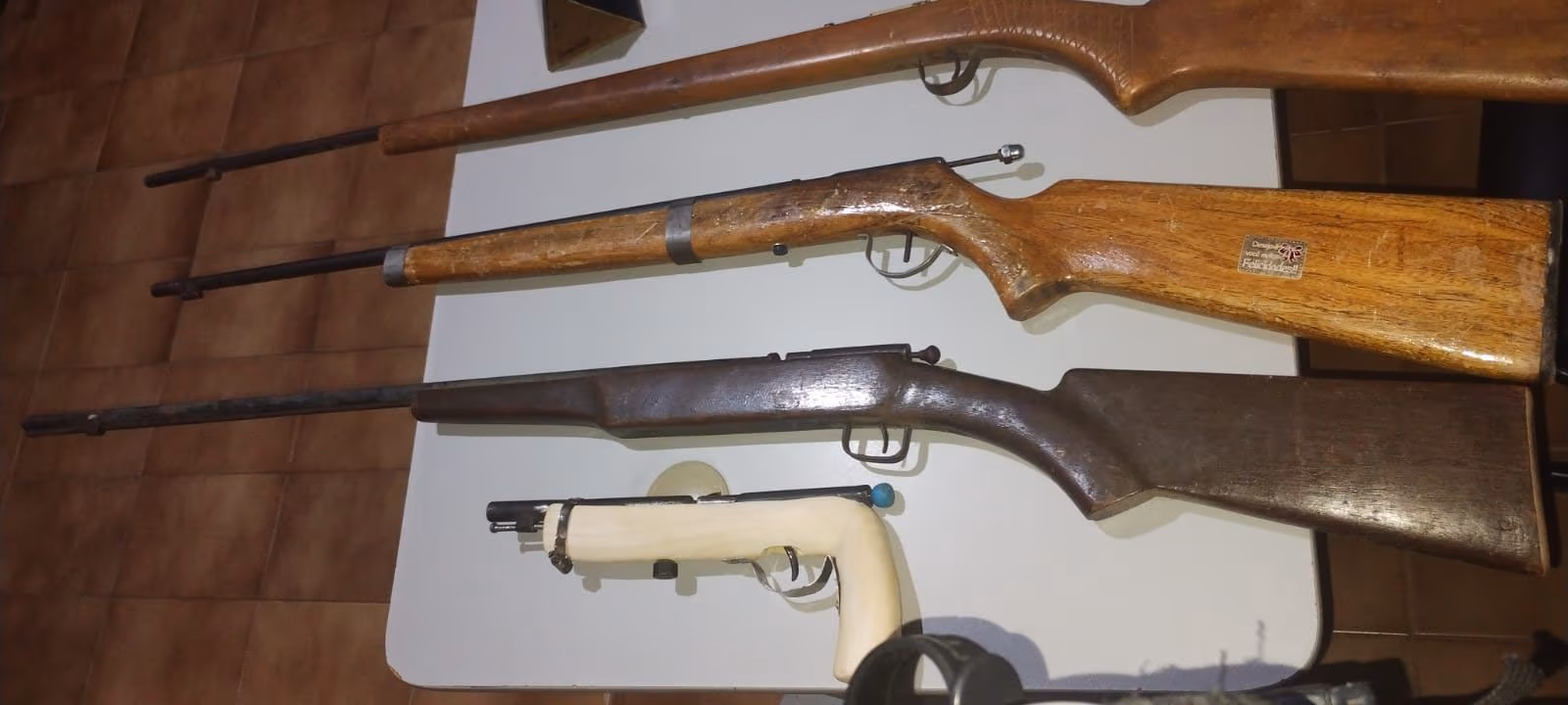 armas_patos.jpeg