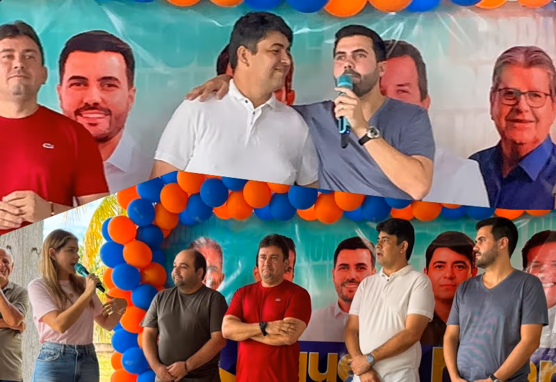 sucupira4.jpg