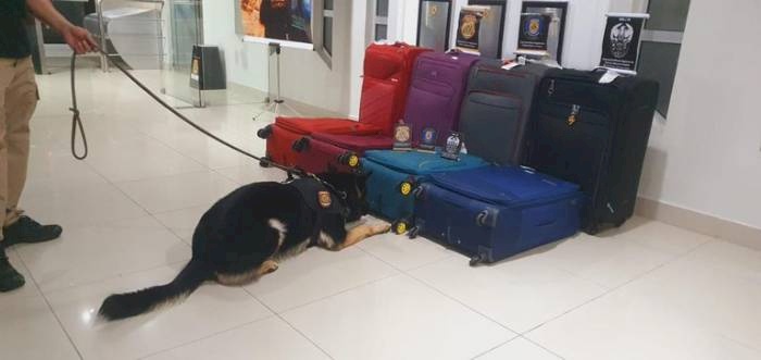 Cocaína oculta em bagagens despachadas no Aeroporto de Fortaleza