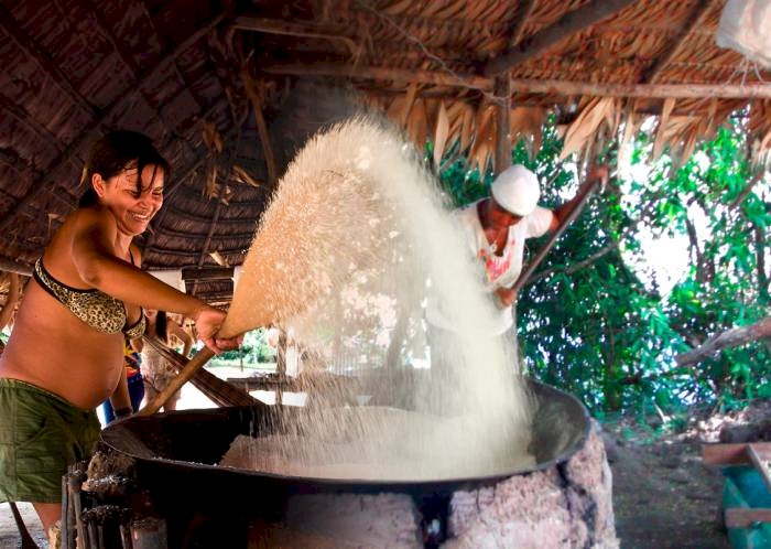 Boa colheita para povos quilombolas e indígenas 