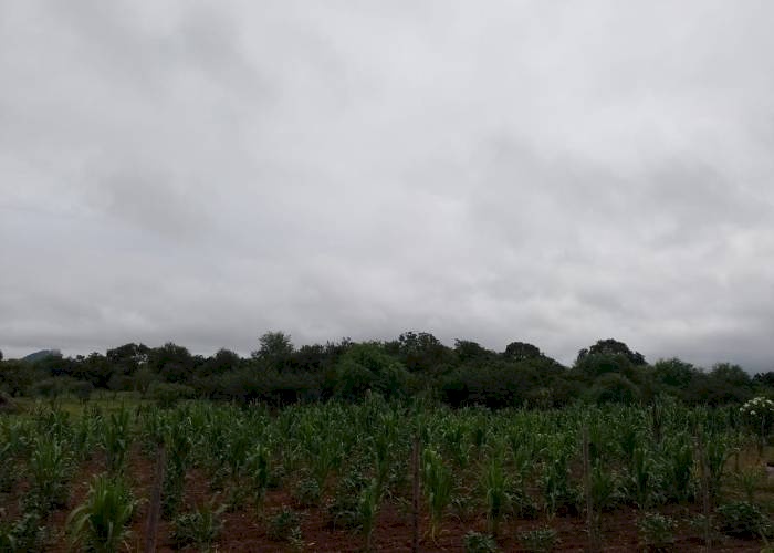 Mais de R$ 8 milhões para pagamento do Garantia-Safra a agricultores de 135 municípios