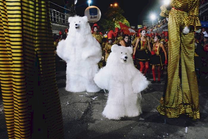 Apresentações de escolas de samba, tribos indígenas, ala ursas e clubes de frevo