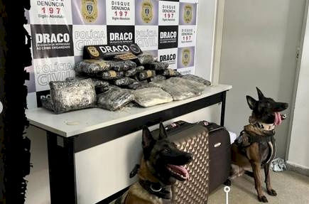 Apreensão de drogas pelas Polícias