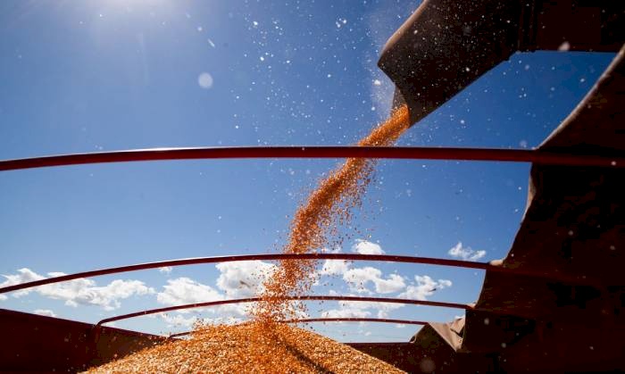 Produção de grãos deve crescer 17,4% na safra 2022/2023