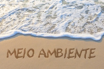 Meio Ambiente 