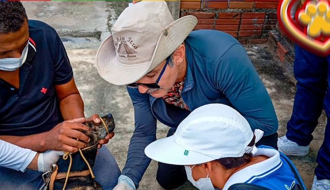 Monitoramento  prevenção da Leishmaniose Visceral Canina, em Aparecida 