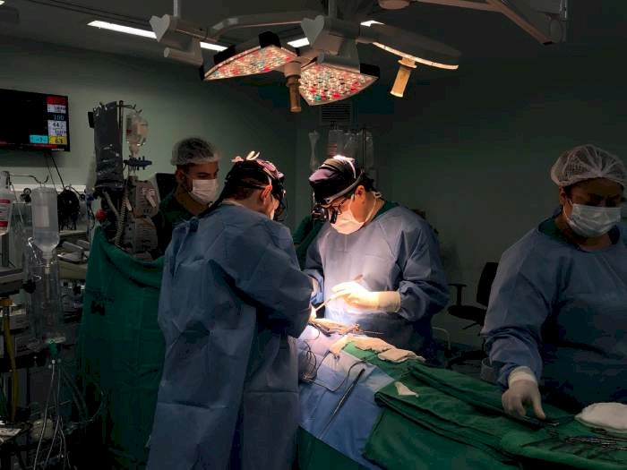 Central Estadual de Transplantes registra 176 procedimentos em 2023
