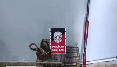 Batalhão de Polícia Ambiental apreende arma de fogo e resgata aves silvestres, na Paraíba 