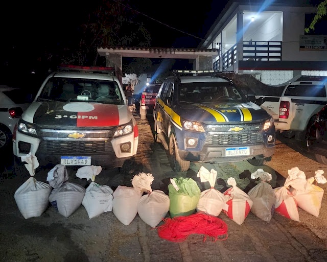 Mais de 260kg de explosivo desviado de uma obra de transposição