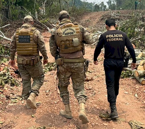 Ação da Polícia Federal no estado do Amazonas 