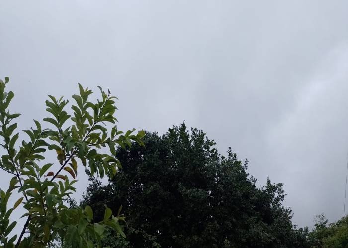 Chuvas caem em alguns municípios da Paraíba