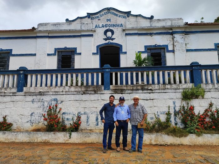 Leilão público de bovinos elite das raças Sindi, Guzerá, Pardo-Suíça e Gir