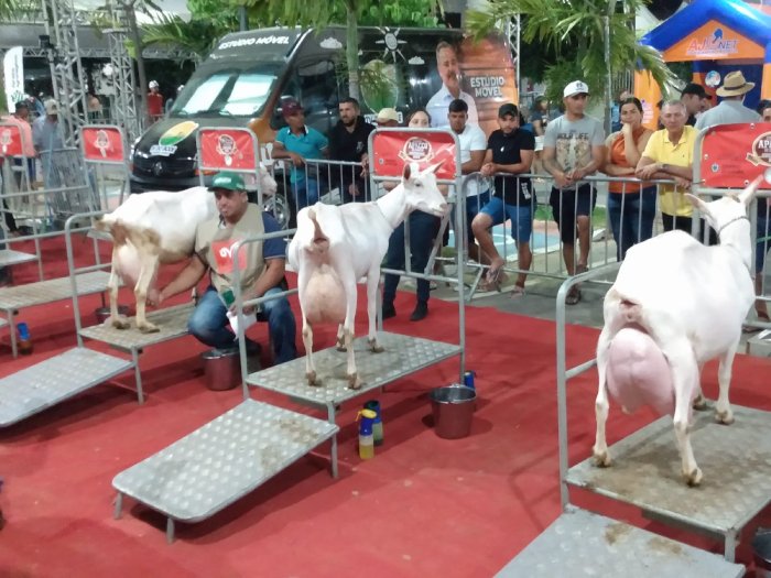 10ª Exposição de Caprinos e Ovinos (ExpoPrata)