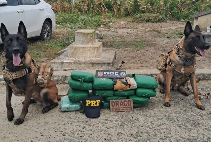 Operação conjunta entre a PRF e a Delegacia de Repressão ao Crime Organizado (DRACO)