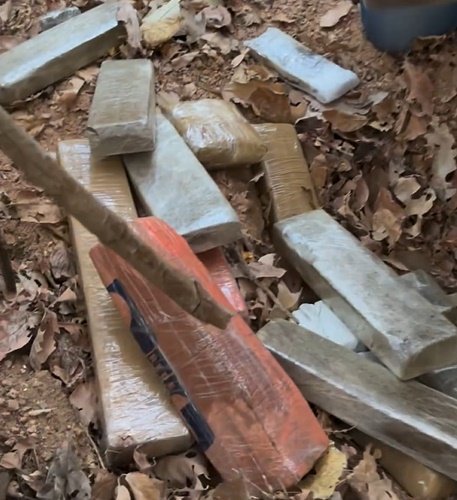 Tabletes de maconha apreendidos em ação da DRACO, na zona rural de Pombal 